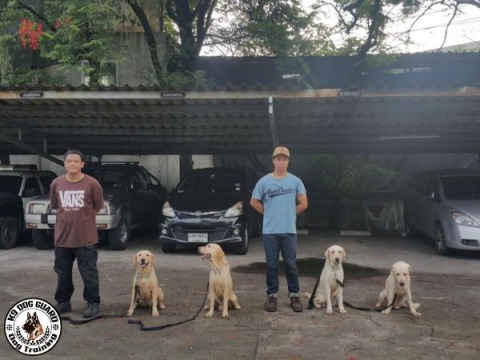 โรงเรียนฝึกสอนสุนัข K9 กรุงเทพ